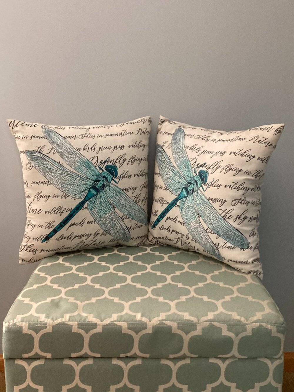 Decorative Pillows Set of 2 - Dragonfly & Script
